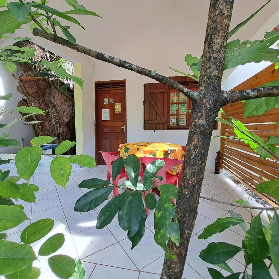 Residence Les Manguiers Pointe-Noire Luaran gambar