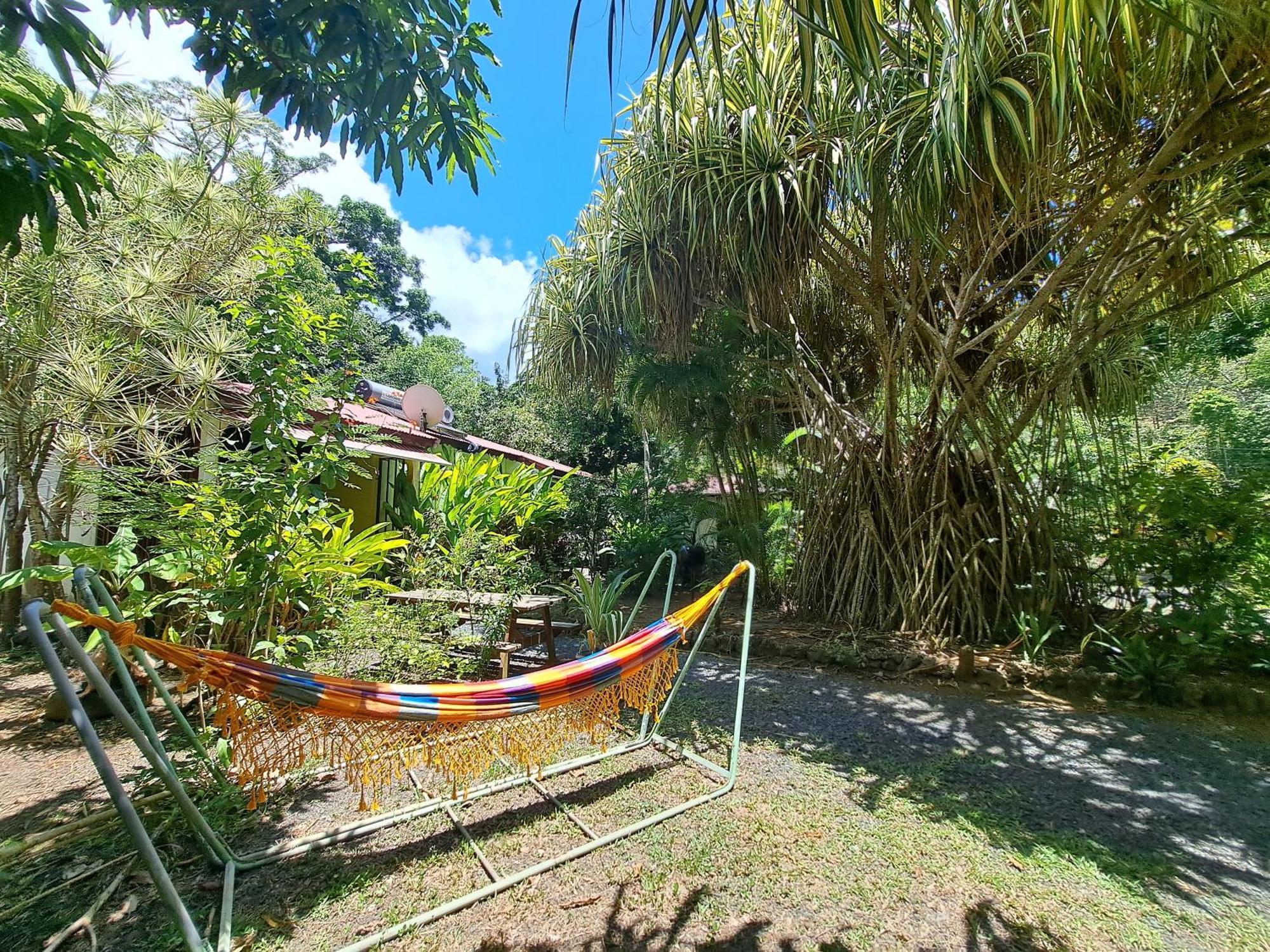 Residence Les Manguiers Pointe-Noire Luaran gambar