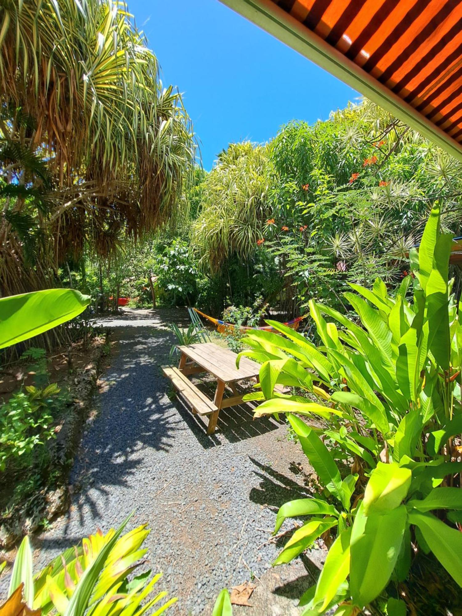 Residence Les Manguiers Pointe-Noire Luaran gambar