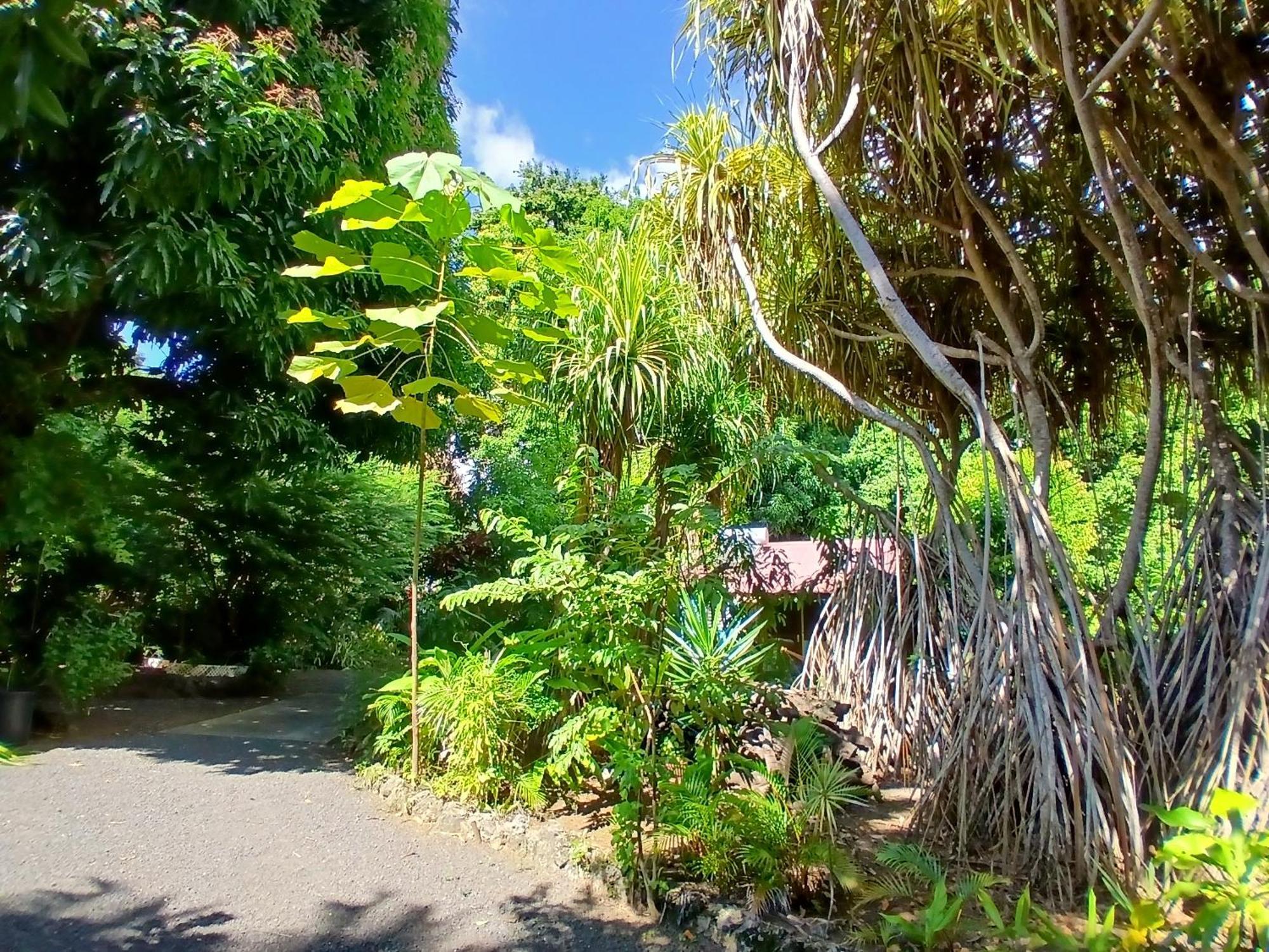 Residence Les Manguiers Pointe-Noire Luaran gambar