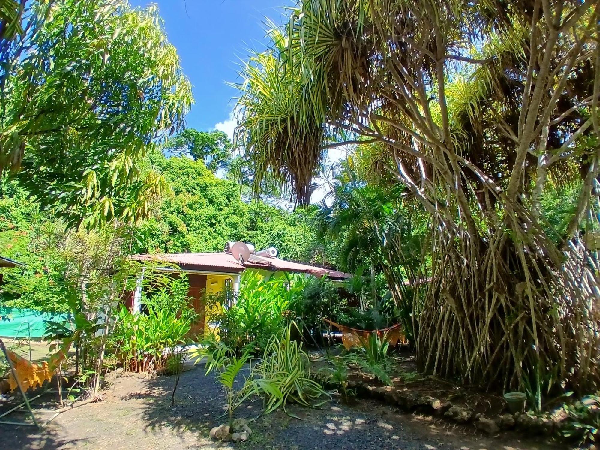 Residence Les Manguiers Pointe-Noire Luaran gambar
