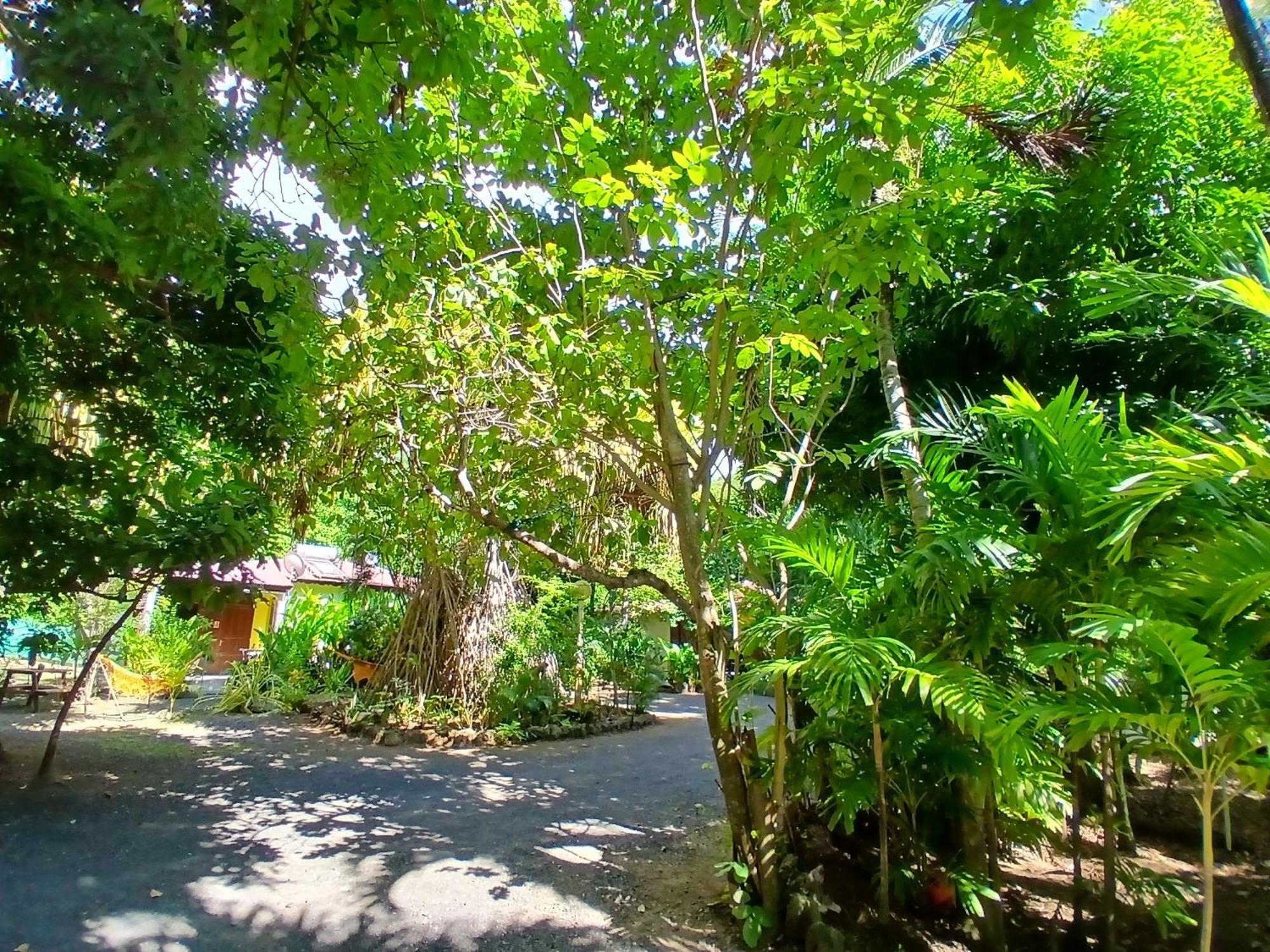 Residence Les Manguiers Pointe-Noire Luaran gambar