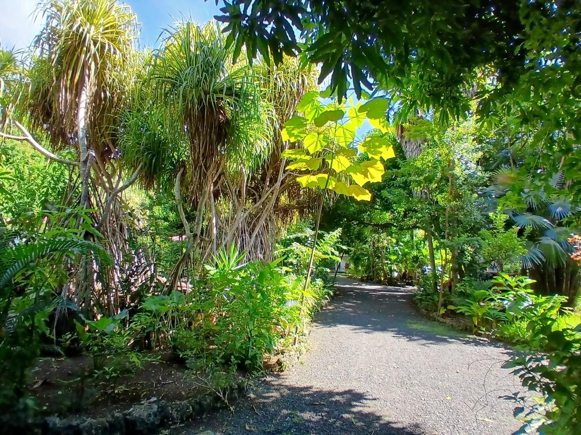 Residence Les Manguiers Pointe-Noire Luaran gambar