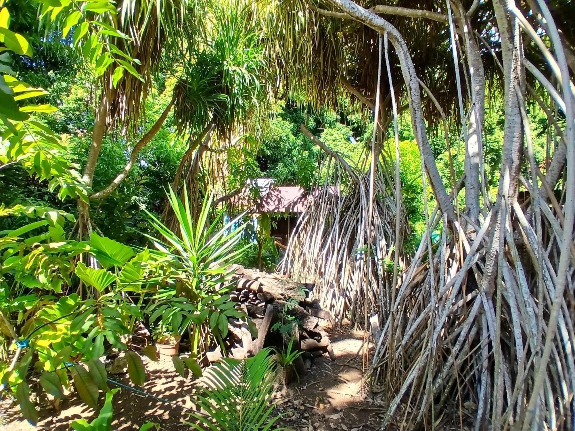 Residence Les Manguiers Pointe-Noire Luaran gambar