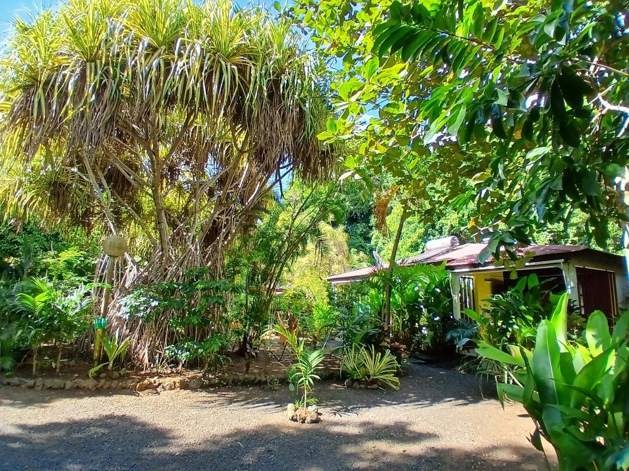 Residence Les Manguiers Pointe-Noire Luaran gambar