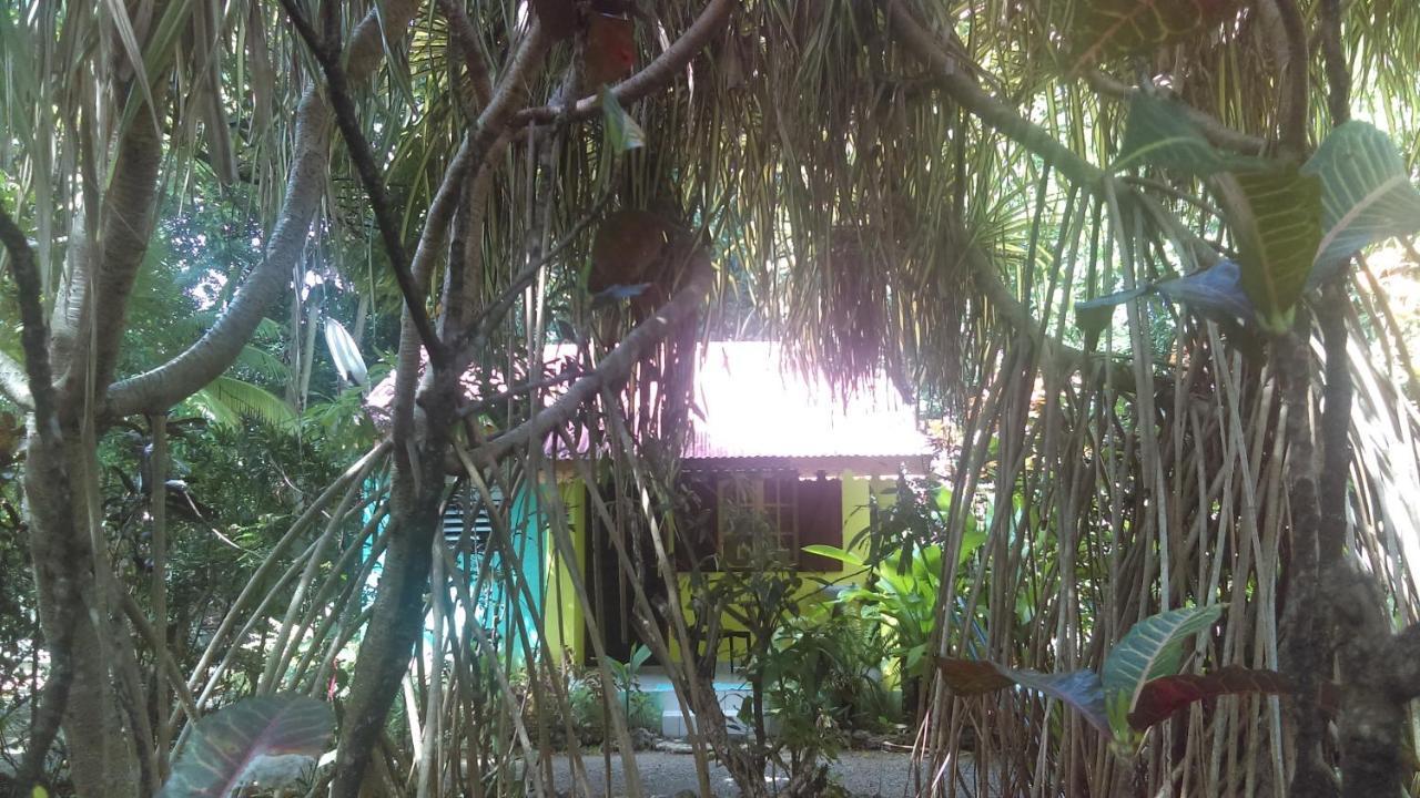 Residence Les Manguiers Pointe-Noire Luaran gambar