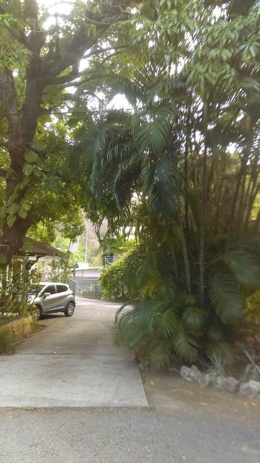 Residence Les Manguiers Pointe-Noire Luaran gambar